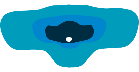 A1