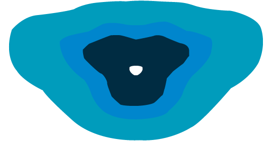 A3