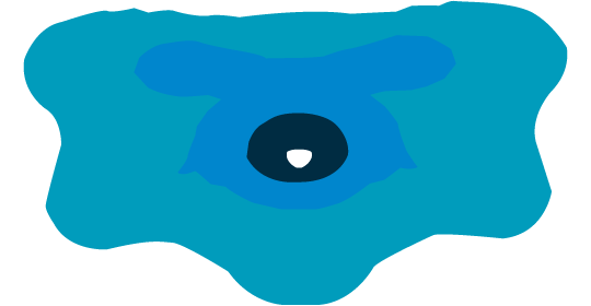 A5