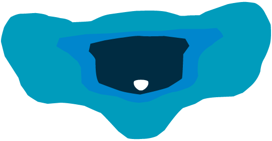 D2