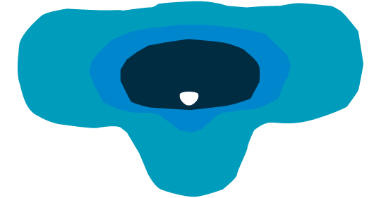 D3