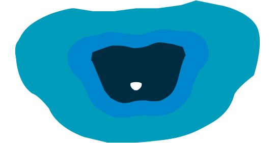 D4