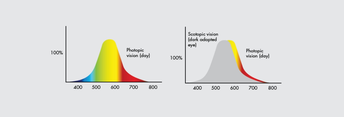 Content banner image Photopic and scotopic curves 2340x800px